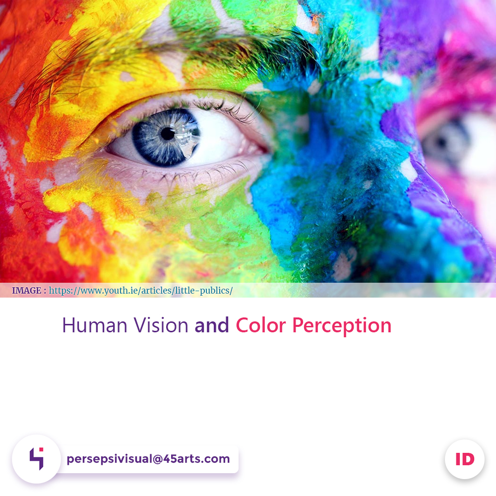 Human Vision and Color Perception