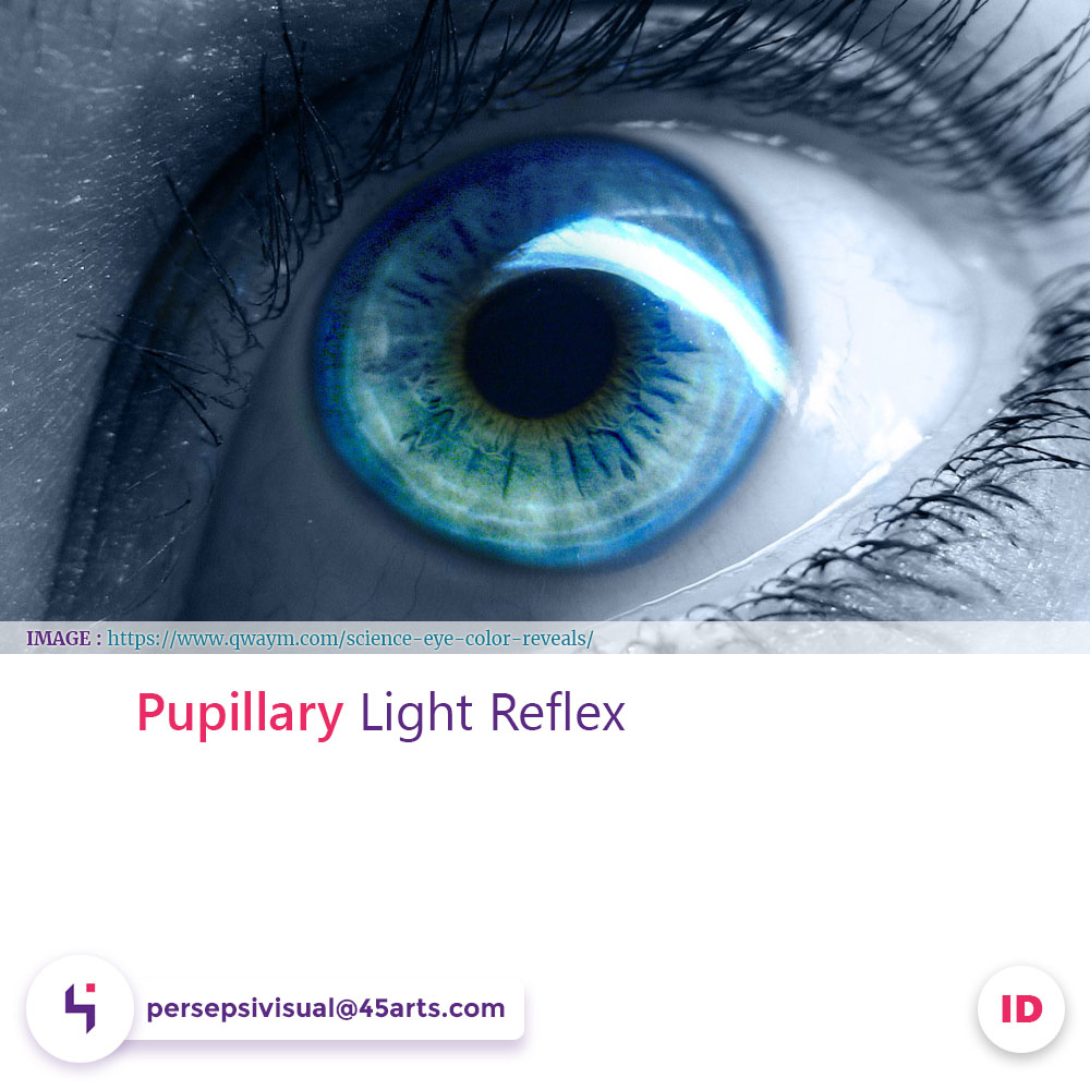 Pupillary Light Reflex